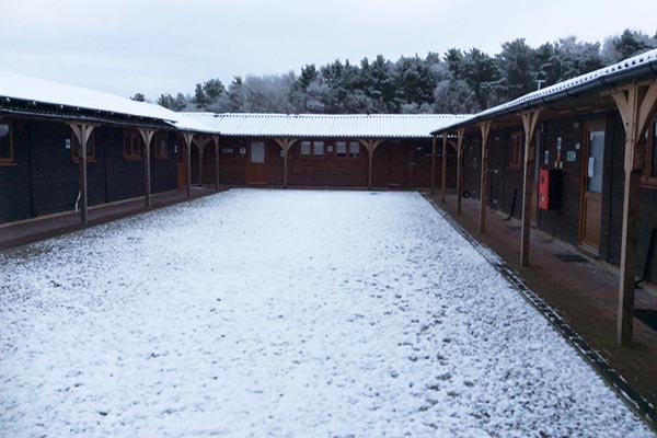 Broadwater Forest Wildlife Hospital