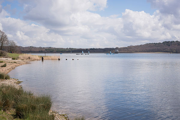 Bewl Water