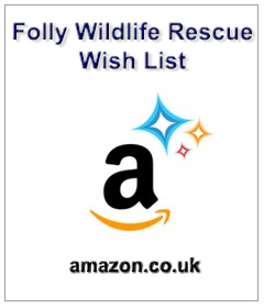 Amazon Wish List