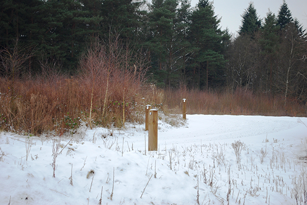 Winter at Folly Wildlife